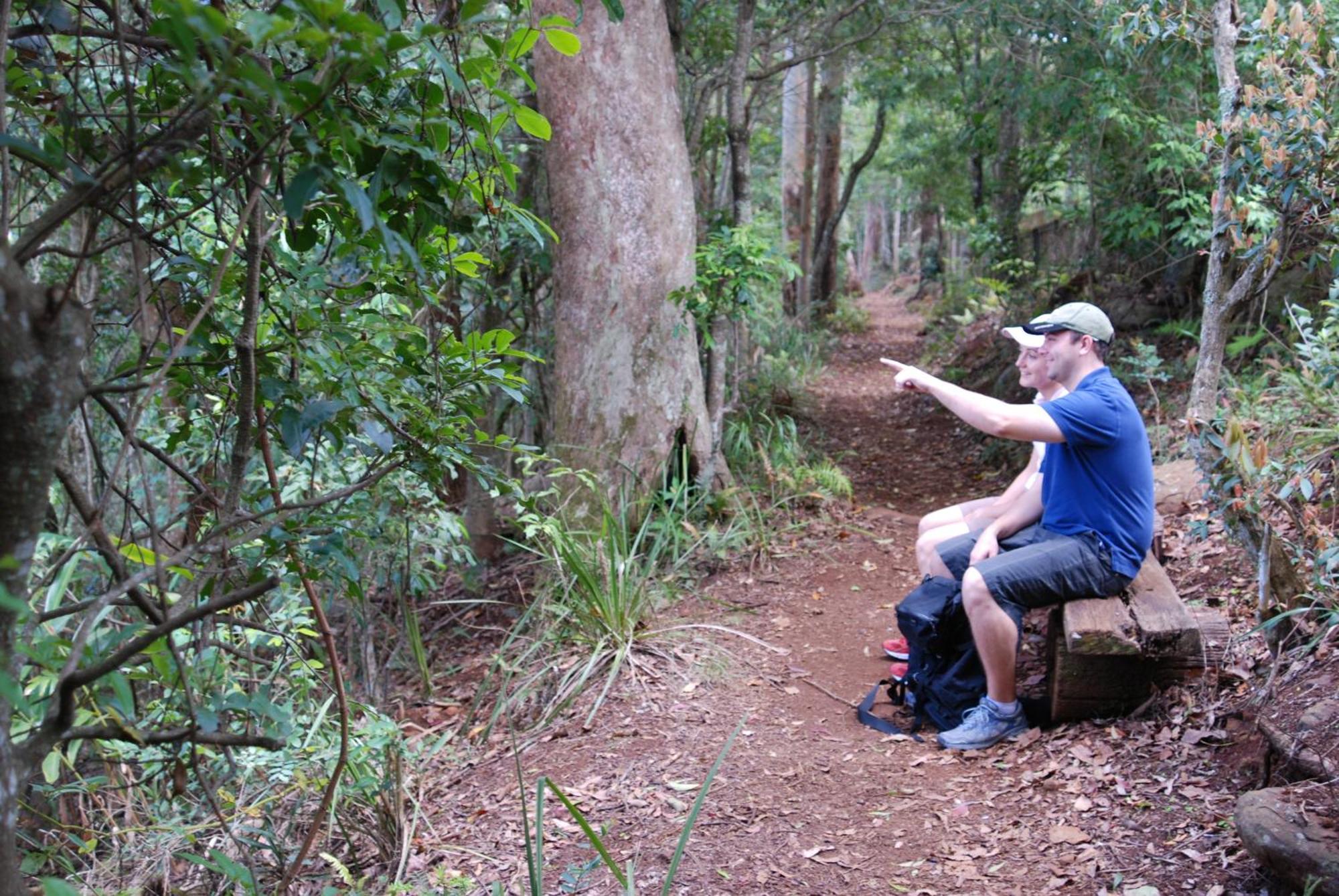 Witches Falls Cottages Núi Tamborine Ngoại thất bức ảnh